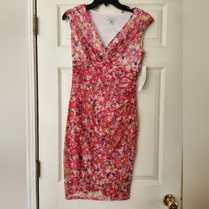 NWT Woman's Dress Size 6P